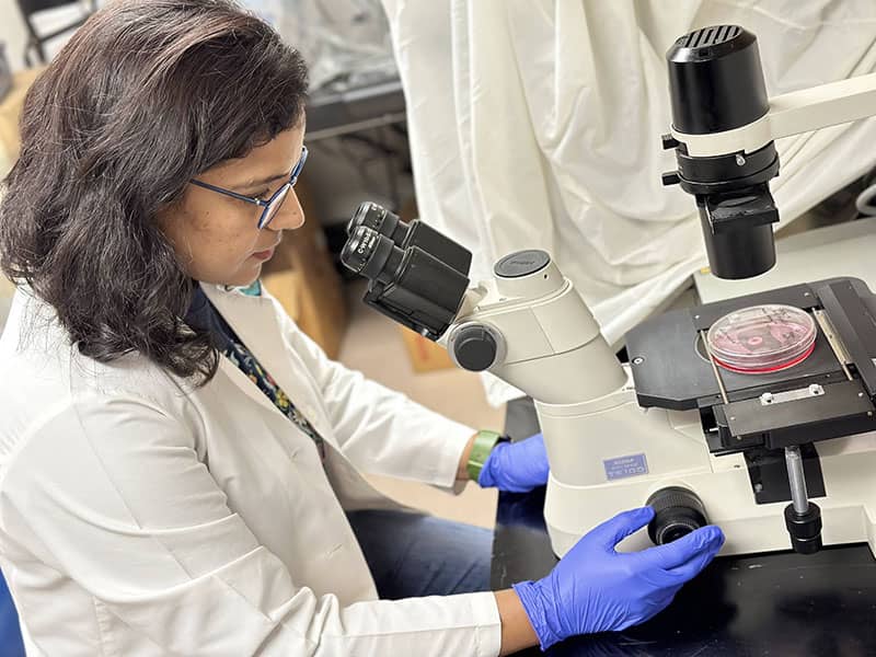 Biomedical Sciences Graduate Program Tulane School Of Medicine